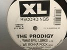 Dance Hardcore Rave 12 Vinyl DJ Prodigy Evil Lurks / Everybody Is the Place XL
