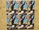 Green/Grüne Vinyl LP Lana del Rey LDR Norman Fucking Rockwell NFR Explicit Cover
