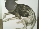 Thee Oh Sees - Putrifiers II EP Vinyl (ten tracks) 
