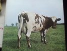 PINK FLOYD ATOM HEART MOTHER 1970 HARVEST SHVL 781 A-1G B-1G NO EMI 1st UK PRESS