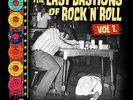 VARIOUS - THE LAST BASTIONS OF ROCK 'N' ROLL Vol 1 (Killer Rockabilly comp LP)