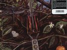 DRAGONFLY vinyl LP garage punk psych hard rock The Legend Megaphone