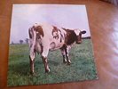pink floyd -  atom heart mother (US)1970 LP harvest skao-382 gatefold cover VG+