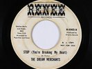 Northern Soul 45 - Dream Merchants - Stop (You're Breaking My Heart) - Renee mp3