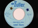 Northern Soul 45 - Sandy Phelps - Free Movin' Spirit - Fuller - VG+ mp3 unknown?
