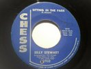 Northern soul Billy Stewart Sitting in the park VG+ Condition