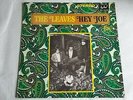 Garage Rock - The Leaves 