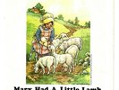 WINGS - Mary Had A Little Lamb  (picture sleeve only) - NM