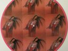CRYSTAL GAYLE/AMAZING RHYTHM ACES EXPERIMENTAL PICTURE DISC ALBUM-BONNIE TYLER