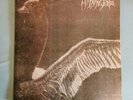 LP My Dying Bride ?– Turn Loose The Swans .1993 Peaceville. Double LP. GF.