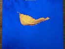 New Order True Faith / 1963 RARE original 12