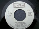 VELVET UNDERGROUND--WHO LOVES THE SUN--COTILLION 44107--1971 PROMO MONO / STEREO