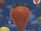 Jollification - Red Vinyl - Sealed Lightning Seeds UK vinyl LP album record