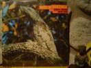 Nature/Field Recordings BIRDS OF VENEZUELA LP/'73/Ornithology/Audubon/Bird Songs