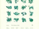 CFCF - The Colours Of Life - Vinyl (LP)