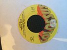 GEORGE BAKER SELECTION LITTLE GREEN BAG USA 7