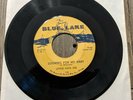Rare R&B Chicago Blues 45 Little Papa Joe Looking For My Baby / Easy Lovin 116