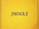 JUNGLE - For Ever - Vinyl (gatefold LP + sticker sheet)