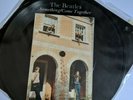 The Beatles 7
