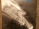 Signed Die Haut with Nick Cave - Burnin the ice vinyl LP