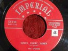 THE SPIDERS - 7