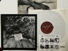 Vtg 1982 DEAD KENNEDYS Vinyl PLASTIC SURGERY DISASTERS Record VIRUS 1st OG EUC+