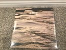Coconut Records-Davy Vinyl Record LP Jason Scwartzman FACTORY SEALED  RARE/OOP