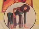 KATE BUSH - The Kick Inside - Rare 1st Press UK Picture Disc LP (Vinyl Record)