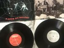 A Web of Sound, (NEW LP, Mint, NM) The Seeds, Psych Vinyl Record     