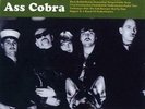 TURBONEGRO: ASS COBRA (LP vinyl *BRAND NEW* *PRE-ORDER*.)