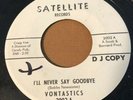 Northern Soul RARE 45 The Vontastics MINT PROMO