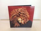 Janet Jackson The Velvet Rope Deep Red Coloured Vinyl Reissue LP