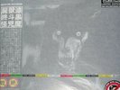 SATANIC Warmaster  Death Live 2014 LP Watain Behexen HMSS