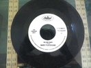 MARCY PLAYGROUND- SEX AND CANDY- ANCIENT WALLS OF FLOWERS- 45RPM- VG+