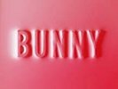 Matthew Dear - Bunny [New Vinyl LP]