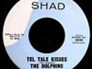 THE DOLPHINS-I Found True Love-Rare Northern Soul-Doo Wop 45-SHAD Label #5020