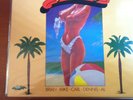 THE BEACH BOYS - CALIFORNIA FEELING - LP RARO