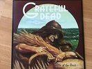 Grateful Dead Wake Of The Flood K49301 GD-01 UK