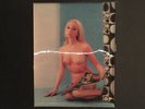 SEXY COVER CHEESECAKE HUGO MONTENEGRO MEDITATIN' IN NIGHTS LP PS-1376-T VINYL