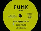 EVANS PYRAMID Never Gonna Leave You/The Dip Drop 12