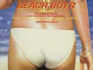 Beach Boys The Very Best Of The Beach ... UK 2-LP  (Double )