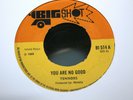 TENNORS YOU ARE NO GOOD / DO THE REGGAE OG UK BIG SHOT 7