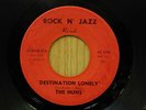 The Huns 45 Destination Lonely bw Winning Ticket on Rock N Jazz Chicago garage