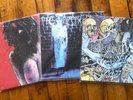 Pig Destroyer - Phantom Limb - Terrifyer - Vinyl - Metal Grindcore LP