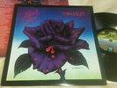 THIN LIZZY-BLACK ROSE-1979 VERTIGO 9102 032 1st 1/1/2/2+INNER -GARY MOORE-Ex+/Ex