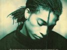 Introducing The Hardline According To Terence Trent D'Arby (reissue)