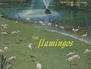 The Flamingos original Checker LP
