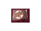 Carry On My Wayward Son RSD 2017 Shaped Picture Disc - Vinyl By Anthrax (New)