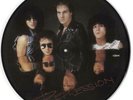 Trust (French) Repression picture disc LP vinyl album record French