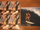 LANA DEL REY NORMAN FUCKING ROCKWELL EXPLICIT COVER VINYL LIME 2LP SIGNED PRINT